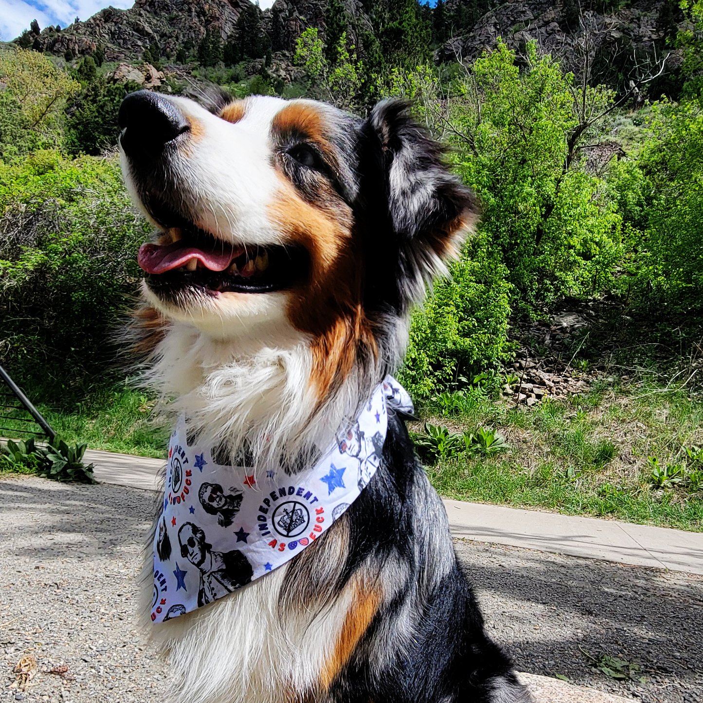 Independent AF Dog Bandana