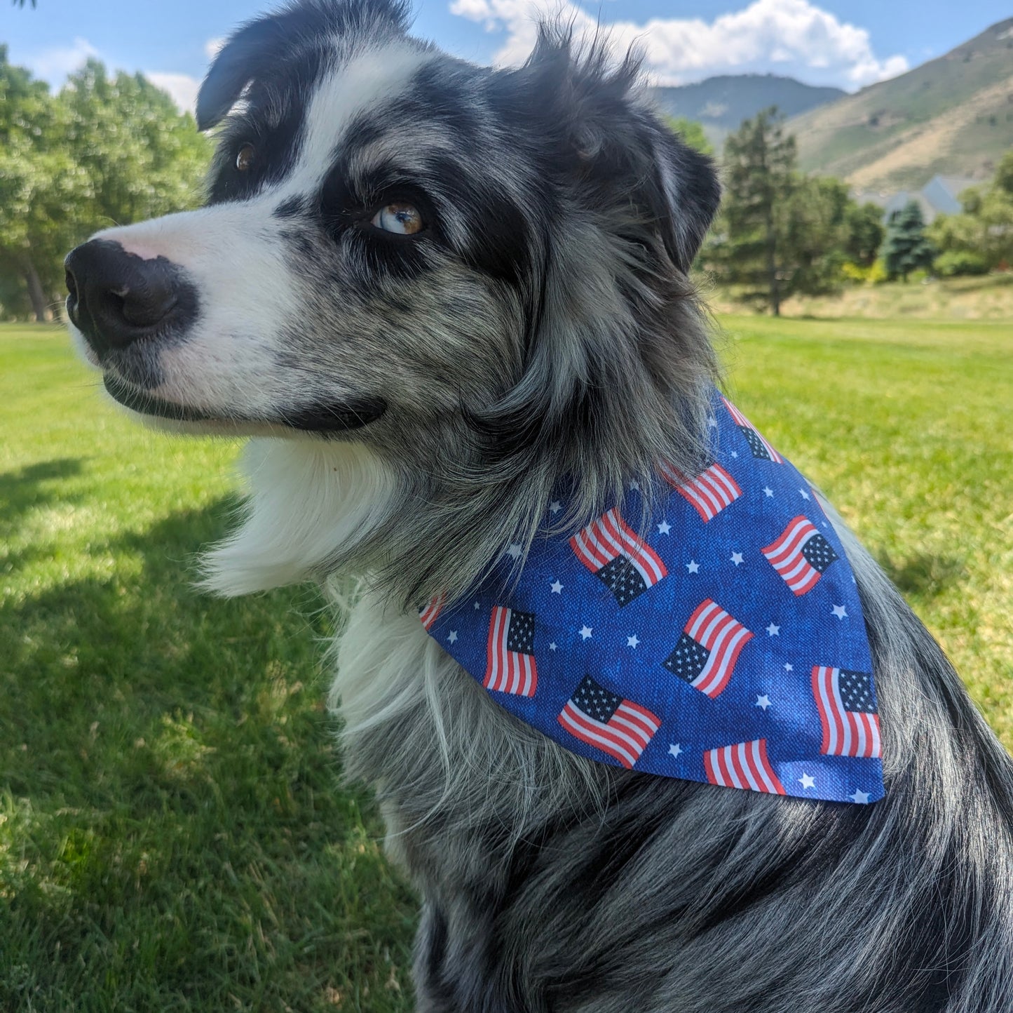 2 Bandana Bundle Pack - Trump and American Flag
