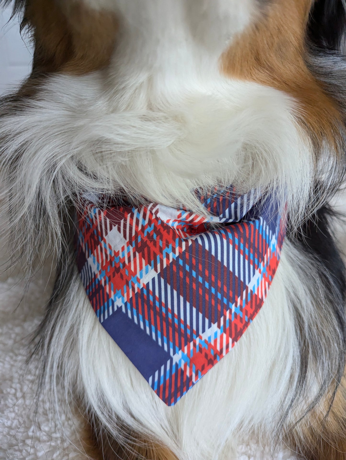 Red white and Blue Tartan
