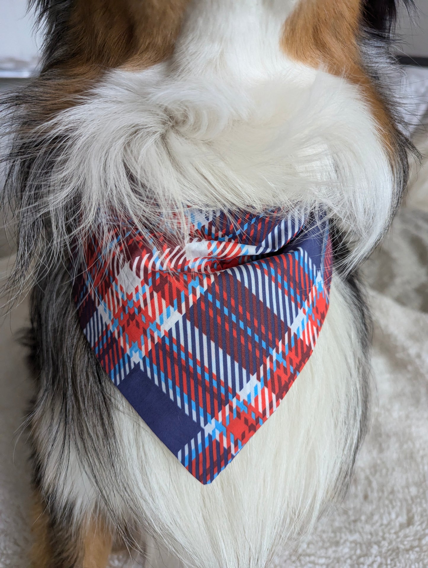 2 Bandana Bundle Pack- Floral and Tartan Duo