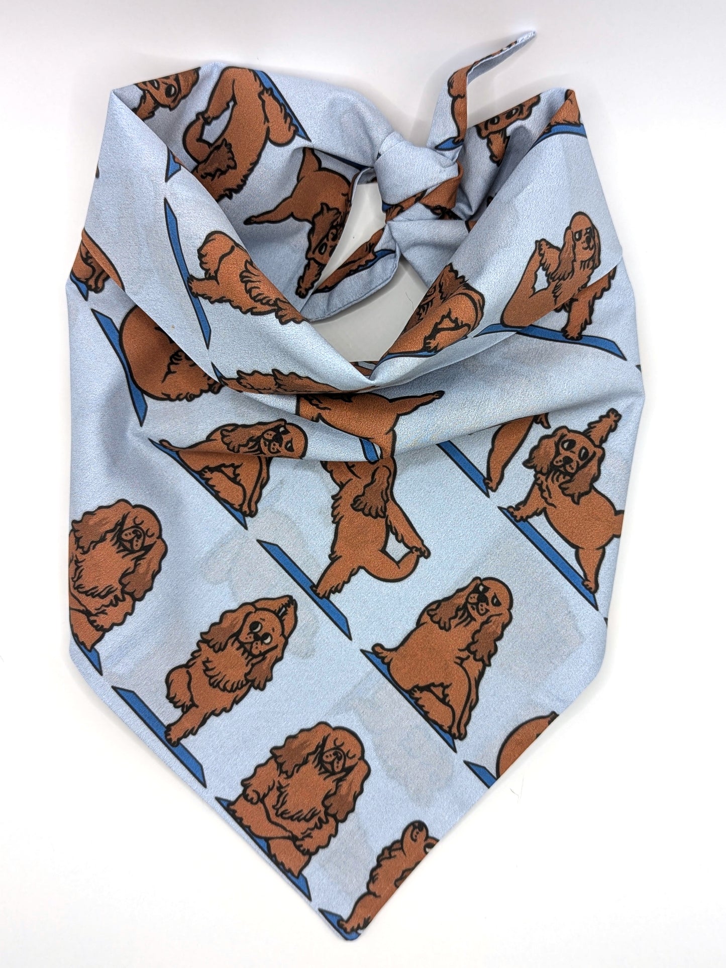 Cocker Spaniel Yoga Bandana
