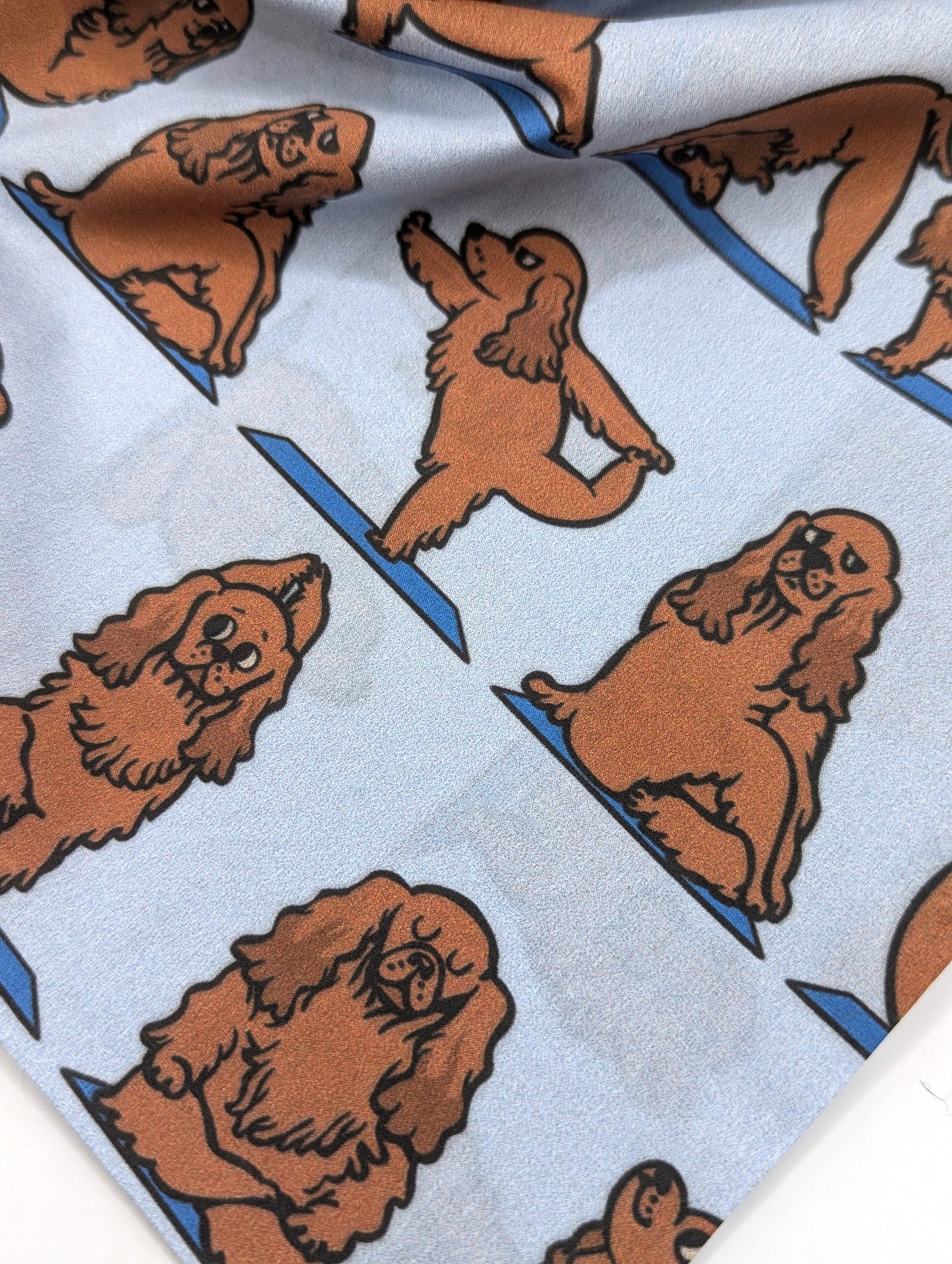 Cocker Spaniel Yoga Bandana