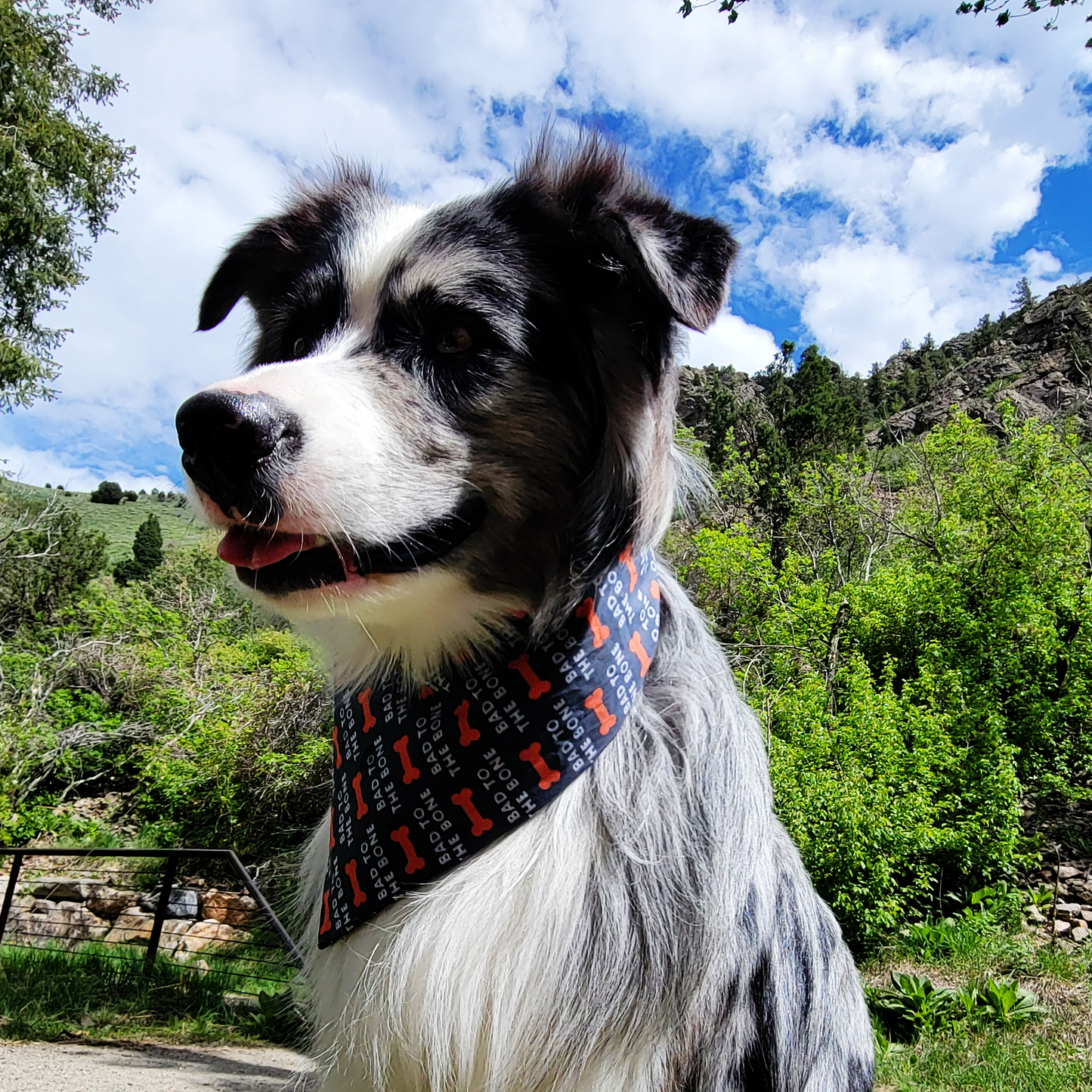 Bad to the Bone Dog Bandana