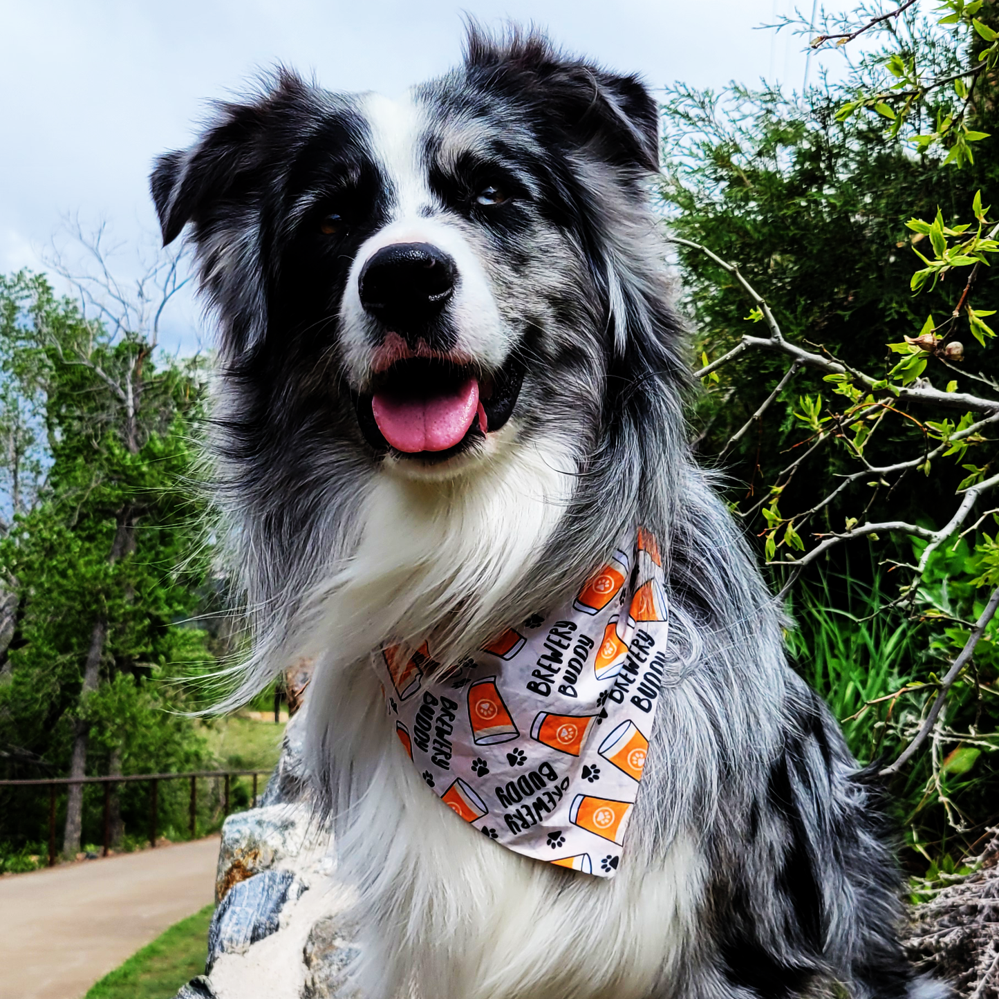 Brewery Buddy Dog Bandana