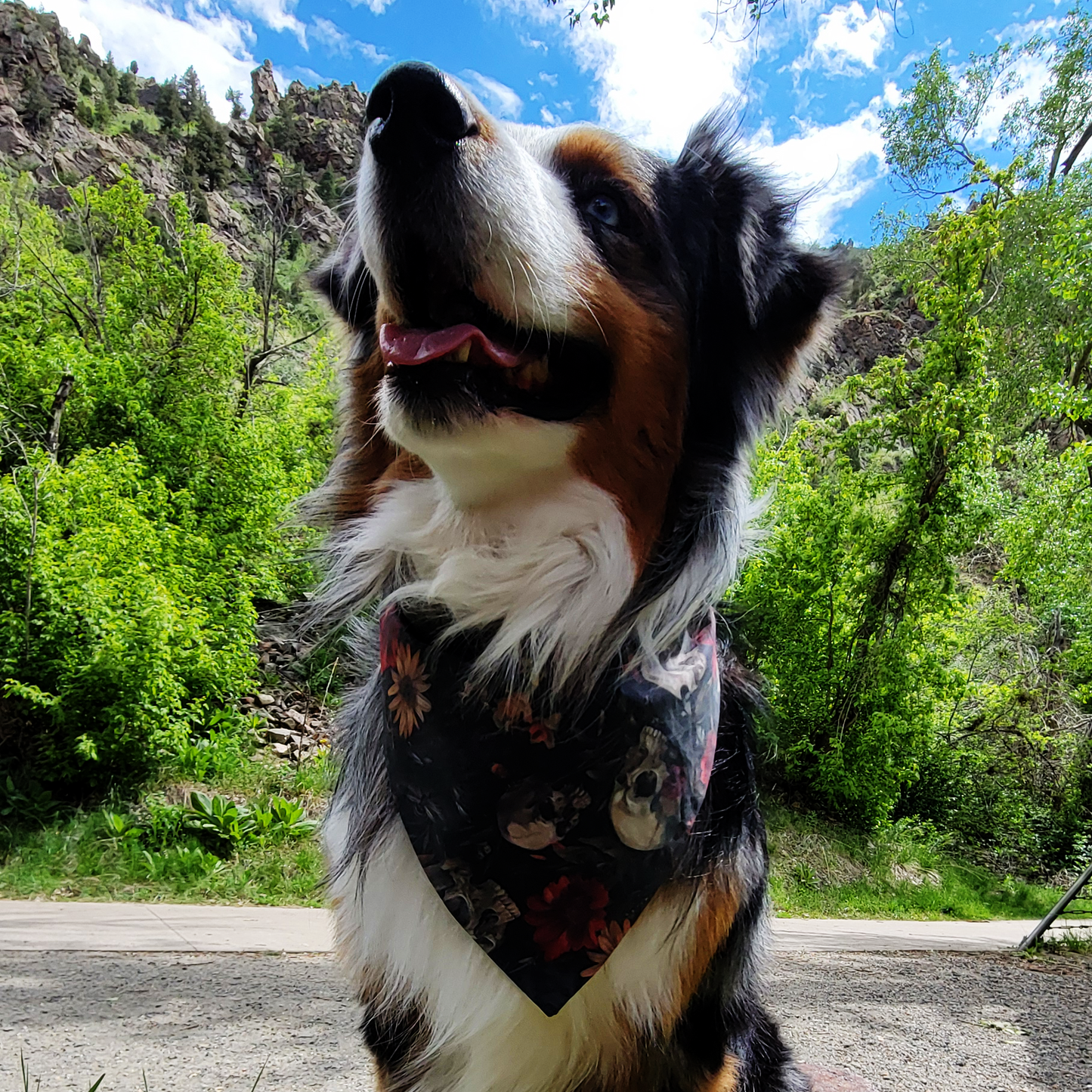 Dark Flowers and Skulls Dog Bandana