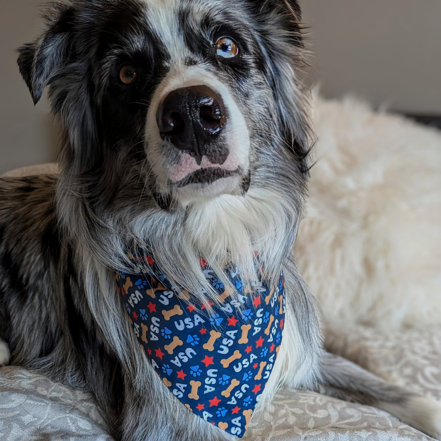 USA Pup - Patriotic Dog Dog Bandana